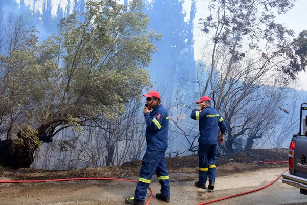 Πιέρια Όρη: Οριοθετήθηκε η φωτιά μετά από 4 μέρες