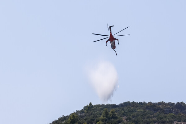 Φωτιά τώρα στο Μαρκόπουλο- Επί τόπου ισχυρές πυροσβεστικές δυνάμεις