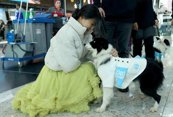 Το αεροδρόμιο της Κωνσταντινούπολης θέλει να χαλαρώσει τους επιβάτες προσλαμβάνοντας 5 σκυλιά θεραπείας
