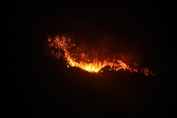 Συνολικά 81 πυρκαγιές στη χώρα σήμερα