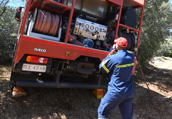 Βοιωτία: Χωρίς ενεργό μέτωπο η φωτιά στην Αγία Τριάδα 