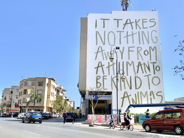 Το νέο έργο του Φίκου για το «Jidar» street art festival που συζητήθηκε πολύ στην Ραμπάτ