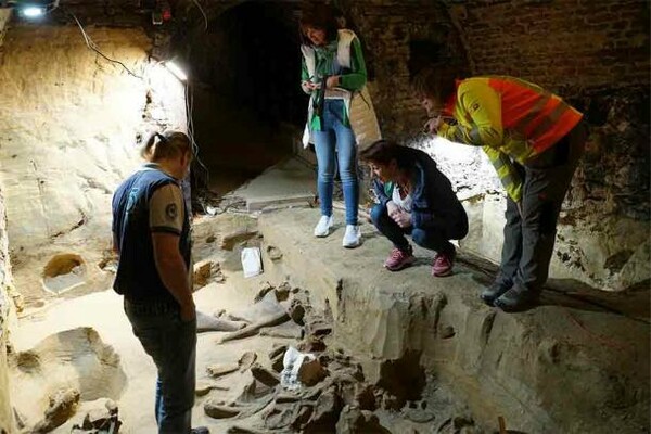 Οστά μαμούθ 40.000 ετών ανακαλύφθηκαν σε κελάρι κρασιών στην Αυστρία