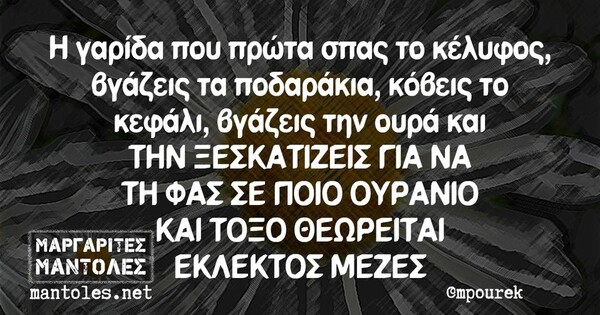 Οι Μεγάλες Αλήθειες της Πέμπτης 30/5/2024