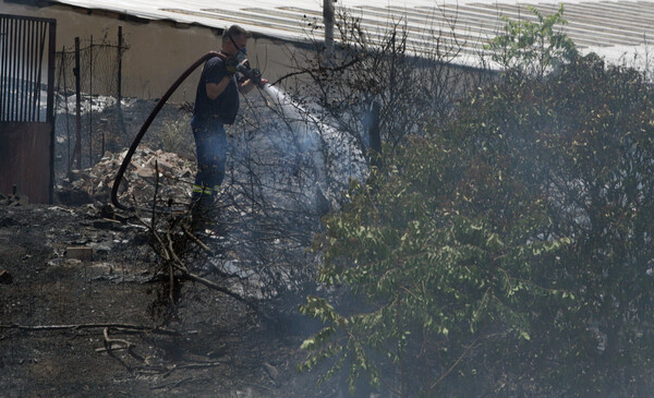 Ζάκυνθος: Πρόστιμο 2.578 ευρώ σε 55χρονη Γερμανίδα για εμπρησμό από αμέλεια 