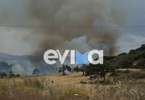 Φωτιά στην Εύβοια – 112 στους κατοίκους