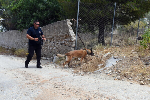 Μάικλ Μόσλι: Το ενδεχόμενο να πήρε λάθος πορεία στη Σύμη εξετάζουν οι αρχές