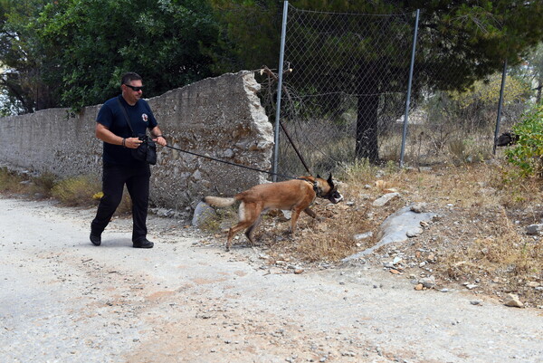 Μάικλ Μόσλι: Το ενδεχόμενο να πήρε λάθος πορεία στη Σύμη εξετάζουν οι αρχές 