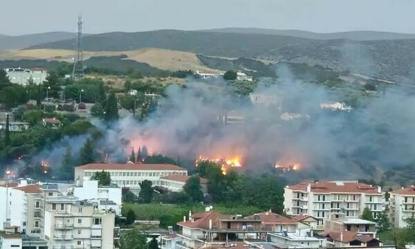 Μεγάλη φωτιά στη Λιβαδειά: Απειλούνται σπίτια - Κοντά σε δεξαμενές προπανίου το μέτωπο