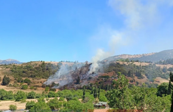 Φωτιά στην Αχαΐα: Σηκώθηκαν εναέρια μέσα