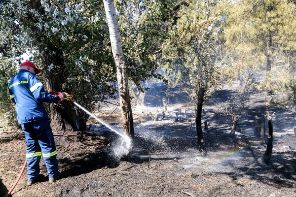 Πυροσβεστική: 34 αγροτοδασικές φωτιές το τελευταίο 24ωρο