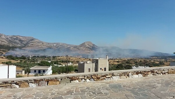 Φωτιά τώρα στη Νάξο: Καίει χαμηλή βλάστηση σε φάρμες στο κέντρο του νησιού