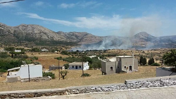 Φωτιά τώρα στη Νάξο: Καίει χαμηλή βλάστηση σε φάρμες στο κέντρο του νησιού