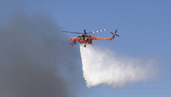 Φωτιά και στη Μαγνησία - Μήνυμα 112 για εκκένωση της Γαβριανής