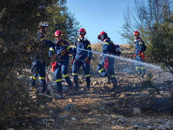 Υπό πλήρη έλεγχο η φωτιά στη Νέα Μάκρη 