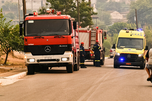 Φωτιές: Στην Ηλεία το βασικό μέτωπο - Ολονύχτια μάχη της Πυροσβεστικής