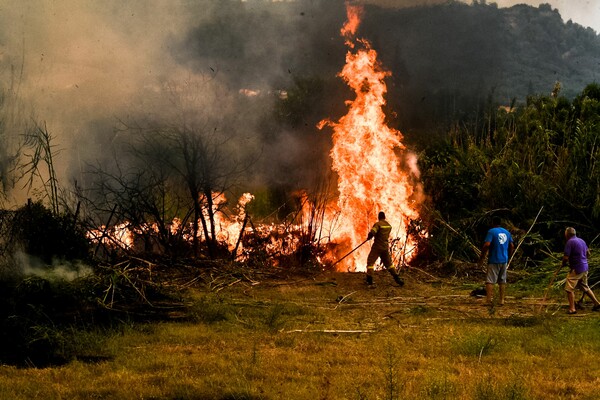 Φωτιές: Στην Ηλεία το βασικό μέτωπο - Ολονύχτια μάχη της Πυροσβεστικής