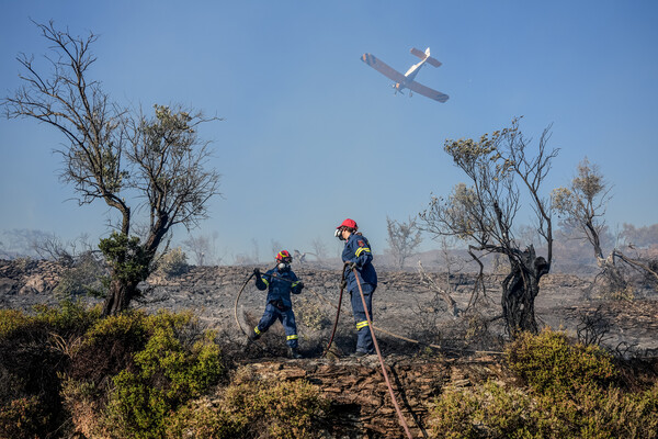 Φωτιά τώρα στη Λαύκα Κορινθίας: Πετούν έξι αεροσκάφη