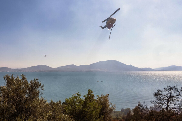 Υπό μερικό έλεγχο η φωτιά στα Ψαχνά Εύβοιας