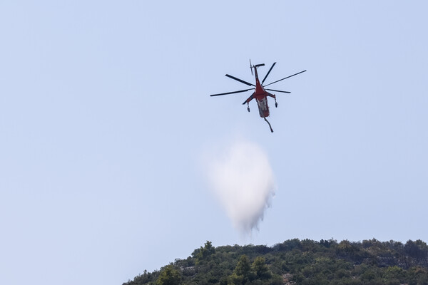 Φωτιά σε χαμηλή βλάστηση στην περιοχή Δρυμός