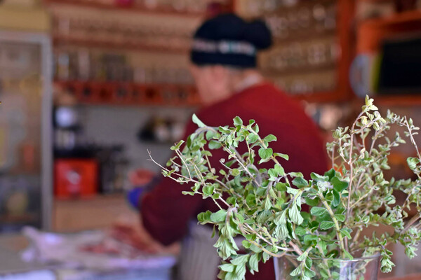 Αγουρίδες, λύρες και μια ζωή σαν μυθιστόρημα 