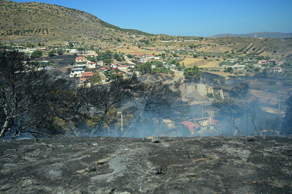 Φωτιά στην Κερατέα: Συνεχείς αναζωπυρώσεις - Κάηκαν σπίτια