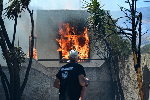 Φωτιά στην Κερατέα: Σε τέσσερις εστίες η μάχη με τις φλόγες