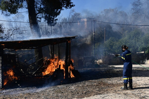 Φωτιά στη Σταμάτα: 20 εναέρια μέσα στη μάχη με τις φλόγες 