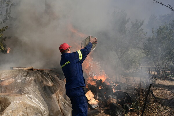 Φωτιά στη Σταμάτα: 20 εναέρια μέσα στη μάχη με τις φλόγες 