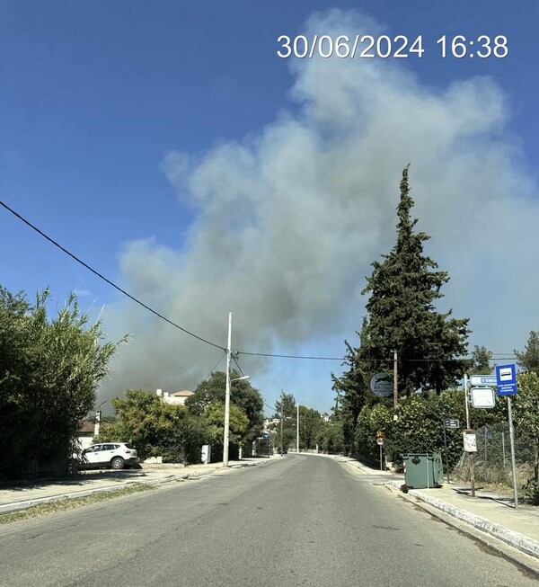 Φωτιά τώρα στη Σταμάτα Αττικής - Μήνυμα 112 για εκκένωση