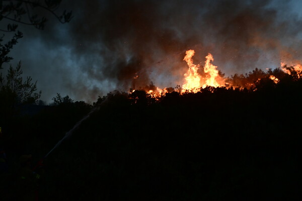 Χωρίς ενεργό μέτωπο οι φωτιές σε Σταμάτα και Κερατέα - Σε εξέλιξη πυρκαγιές σε Ζάκυνθο και Δίστομο