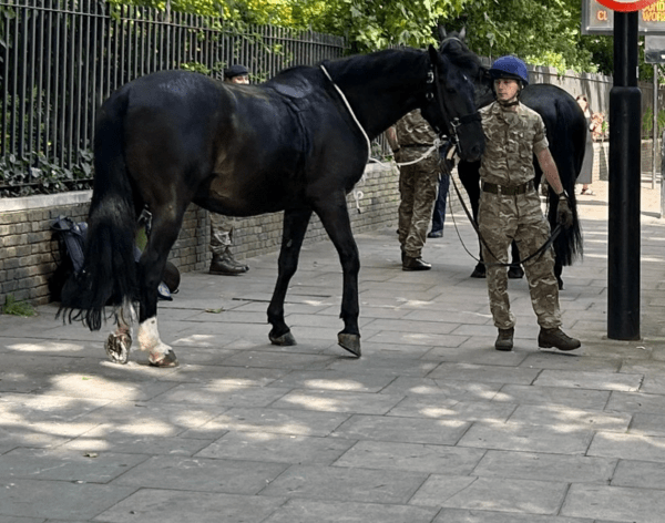 Λονδίνο: Άλογα του στρατού ξέφυγαν και έτρεχαν στους δρόμους