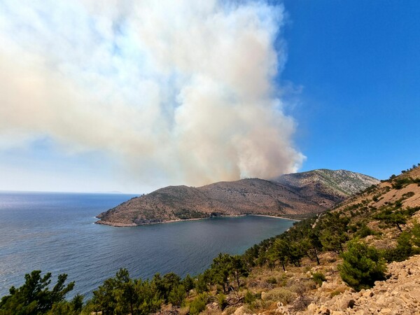 Φωτιά στη Χίο: Πέντε πυροσβέστες τραυματίστηκαν - Ενισχύονται οι δυνάμεις από Αθήνα, Λέσβο και Ρόδο