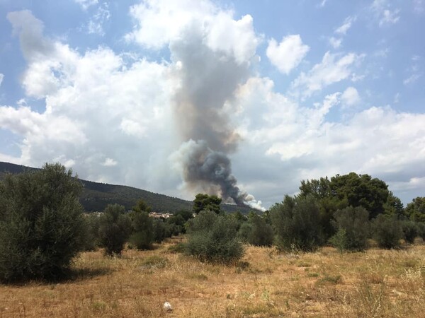 Φωτιά στα Γλυκά Νερά: Μήνυμα από το 112 - Δείτε φωτογραφίες