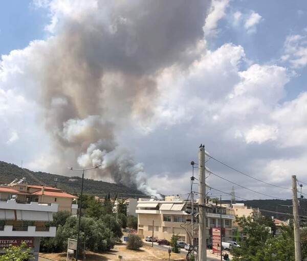 Φωτιά στα Γλυκά Νερά: Μήνυμα από το 112 - Δείτε φωτογραφίες