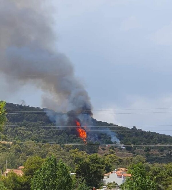 Φωτιά στα Γλυκά Νερά: Μήνυμα από το 112 - Δείτε φωτογραφίες