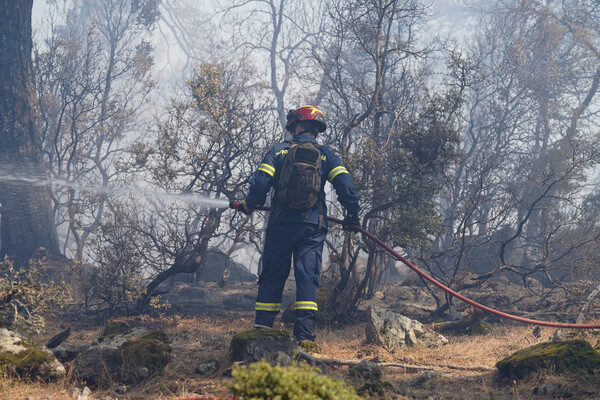 Συνελήφθη 28χρονος για τη φωτιά στη Λέσβο