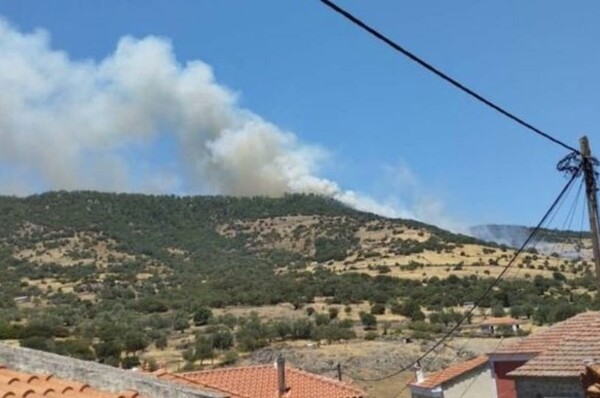 Φωτιά τώρα στη Λέσβο: Επιχειρούν 8 αεροσκάφη