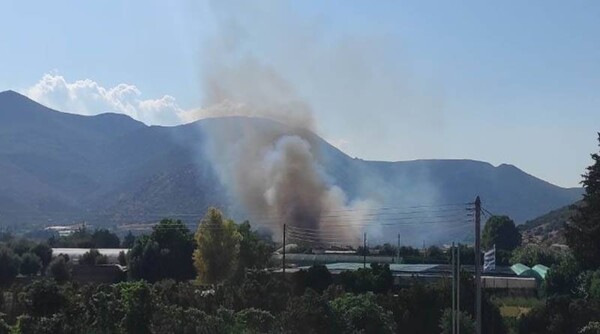 Φωτιά τώρα στον Μαραθώνα