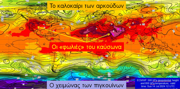 Το «καλοκαίρι των αρκούδων» και οι «φωλιές του καύσωνα»: Ο μετεωρολόγος Ζιακόπουλος εξηγεί γιατί η Ελλάδα έγινε καμίνι