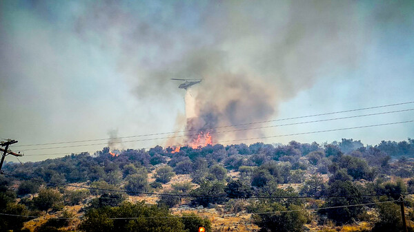 Φωτιά τώρα στη Βοιωτία - Επίγειες και εναέριες δυνάμεις της Πυροσβεστικής στο σημείο