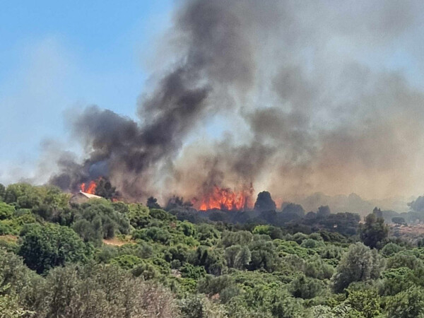 Φωτιά στην Χίο: Βελτιωμένη εικόνα από το μέτωπο - Συνεχίζονται οι προσπάθειες κατάσβεσης