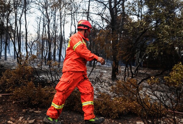 Πολύ υψηλός κίνδυνος πυρκαγιάς την Τρίτη 16 Ιουλίου