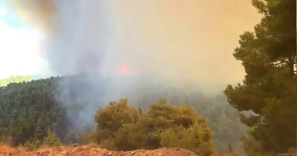 Φωτιά τώρα στο Κοντοδεσπότι Ευβοίας