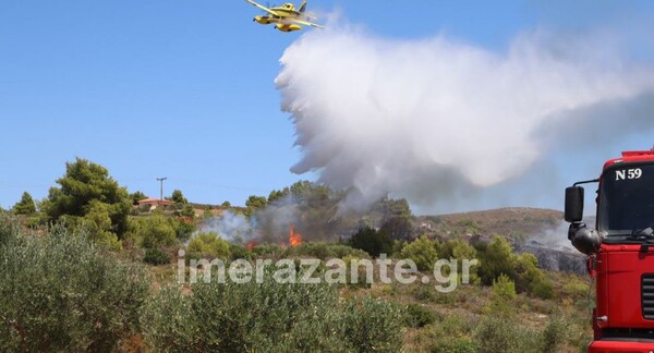 Φωτιά στη Ζάκυνθο: Καίγεται αγροτοδασική έκταση στην περιοχή Αγαλάς