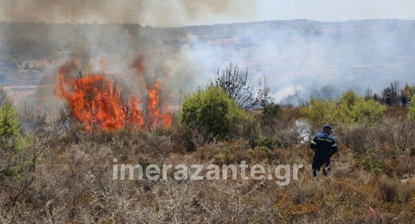 Φωτιά στη Ζάκυνθο: Καίγεται αγροτοδασική έκταση στην περιοχή Αγαλάς