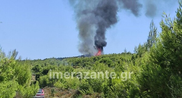 Φωτιά στη Ζάκυνθο: Καίγεται αγροτοδασική έκταση στην περιοχή Αγαλάς