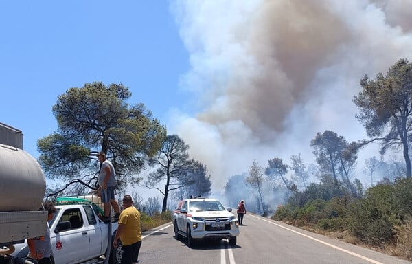 Φωτιά στο Σοφικό: Δεν έχει τεθεί υπό έλεγχο - Ισχυροί άνεμοι δυσκολεύουν την Πυροσβεστική