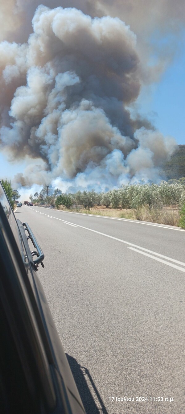 Μεγάλη φωτιά τώρα στο Σοφικό Κορινθίας