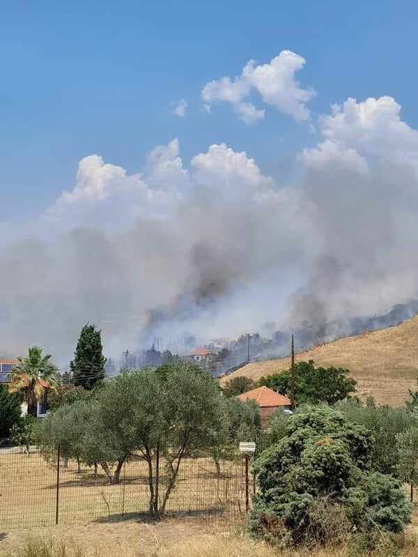 Φωτιά στη Θέρμη: Στις φλόγες σπίτια στον Τρίλοφο